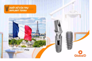Nguồn gốc của trụ implnat tekka-1
